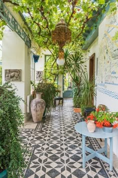 an outdoor area with potted plants and large vases on either side of the walkway