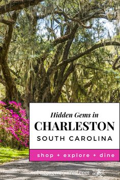 a sign that says hidden gems in charleston, south carolina with pink flowers and trees