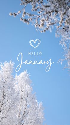 the words hello january are written in white on a blue sky background with snow - covered trees