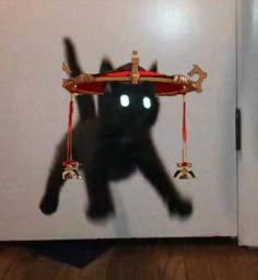 a black cat with glowing eyes is standing in front of a refrigerator