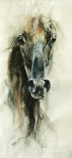 a drawing of a horse's head is shown in black and grey tones,