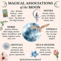 Moon Correspondences Witches, Herbs Of The Moon, Flowers Associated With The Moon, January Magical Correspondences, New Moon Herbs, Blue Moon Magic, Moon Associations, Moon Rituals Magic, Full Moon Correspondences