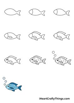 the different types of fish that can be used to draw