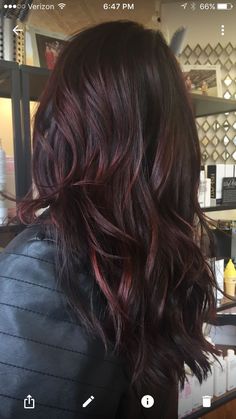 Dark Red Low Lights For Brown Hair, Dark Brown Red Lowlights, Dark Red Glaze Hair, Red And Blonde Highlights On Dark Hair Fall Brunettes, Mohagany Hair Color With Highlights, Red Tone Brunette Hair, Dark With Red Hair, Burgundy Hair Balayage Brown, Burgundy Hair With Brown Highlights