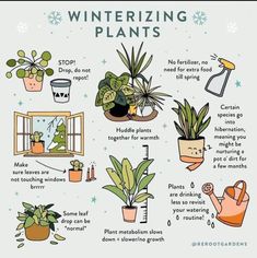 a poster with some plants and other things to do in the wintertime time, including houseplants