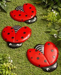 three ladybug magnets sitting on top of green grass next to a photo