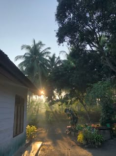 the sun shines brightly through the trees in front of a small house on a dirt road