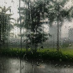 rain is pouring down on the window with trees in the back ground and green grass behind it