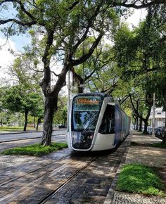 a train traveling down tracks next to a tree filled street with lots of green grass