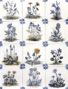 nine blue and white tiles with various flowers in each one, including dandelions