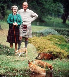 an older man and woman standing next to two dogs in the grass near some water