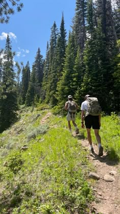 two people hiking up a hill in the woods