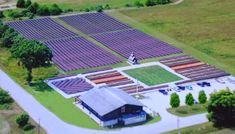 an aerial view of a farm with many rows of crops on the ground and trees