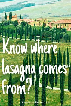 A scene of rolling green hills with a terracotta-rooved villa and the text know where lasagna comes from. Easy Carbonara, Lasagna Bolognese, Its Christmas Eve, Classic Lasagna, Cooking At Home, White Sauce, Italian Cooking, Pasta Dish, Cook At Home