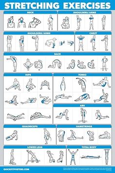 an exercise poster with instructions for stretching and exercises on the back, shoulders, arms and legs