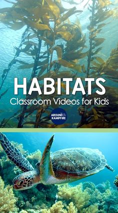 Free clickable list of habitats and ecosystems science videos for kids and teachers Grade 4 Habitats And Communities Science, Habitats 2nd Grade, Second Grade Science Lessons, Environmental Science Lesson Plans, September Homeschool, Teaching Habitats, Third Grade Science Activities, Soil Activities