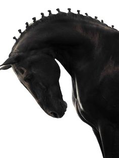 a black horse with spikes on it's head