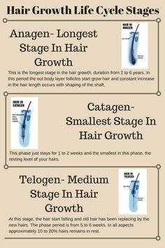 Hair growth life cycle Hair Growth Stages, Hair Stages, Hairstyles Fall, Natural Hair Growth Remedies, Hair Remedies For Growth, Home Remedies For Hair, Alternative Treatments, Hair Regrowth, Hair Fall