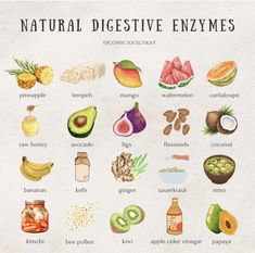 an illustrated guide to natural digestive enzymes