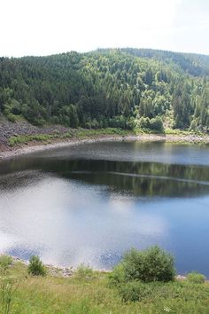 a large lake surrounded by lush green trees