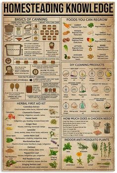 a poster with some words on it that says homesteading knowledge basics of canning