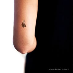 a woman's arm with a small pine tree tattoo on the back of her left arm