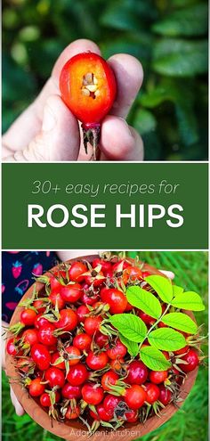 the words rose hips are written in green and red letters, with an image of a person's hand holding a bowl full of berries