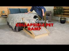 a man standing in front of a collapsible pet ramp on the floor