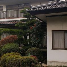 a house with some bushes and trees in front of it