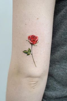 a single rose tattoo on the arm