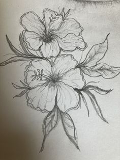 a pencil drawing of some flowers on a sheet of paper with an eye shadow in the background