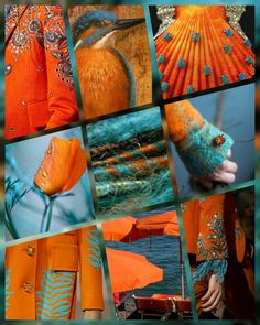 an orange and blue collage with many different things to see in the pictures below