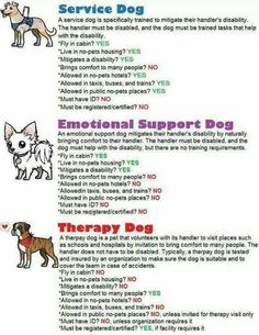 an info sheet describing the different types of dogs and how they can help with them