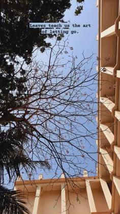 looking up into the sky from an apartment building with tree branches in front of it