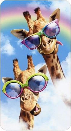 two giraffes with sunglasses on their heads are in the sky and one is sticking its tongue out