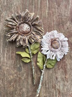 two dried flowers sitting on top of a wooden table