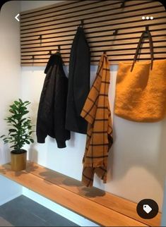 three coats hanging on the wall next to a potted plant and coat rack with hooks