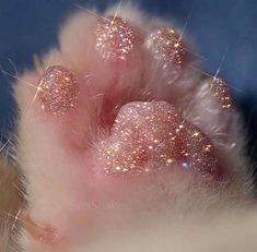 the paw of a cat with pink and gold glitters on it's fur