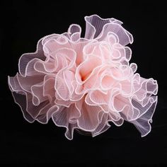 a pink flower with white petals on a black background