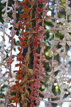 several pieces of paper hanging from a tree