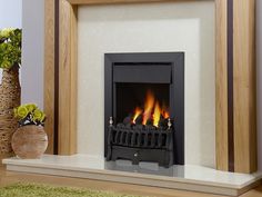 a fire place in a living room next to a potted plant