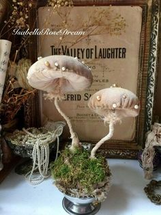 two mushrooms sitting on top of a table next to a framed sign and other items