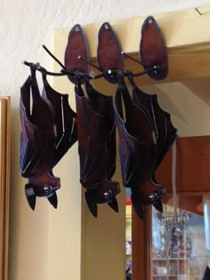 a group of bats hanging from the side of a wall