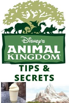 the animal kingdom tips and secrets guide for disney's animal kingdom, including an ice cream sundae