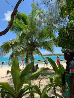 several people are on the beach near some palm trees and blue water with white sand