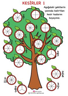 a tree that has different fruits on it and the numbers in each section are labeled