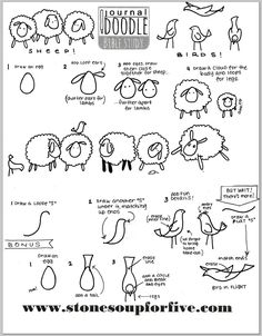 the instructions for how to draw sheeps from different angles and sizes, with pictures on them