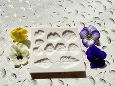 three pansies are sitting on a table next to a cookie sheet and flower molds