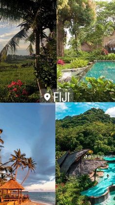 four different pictures with trees and water in the middle one has a hut, another has a swimming pool