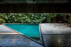 an empty swimming pool surrounded by greenery in the middle of a concrete floored area